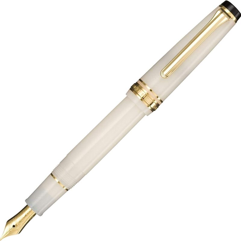 Fountain Pen,   Medium Fine Point,