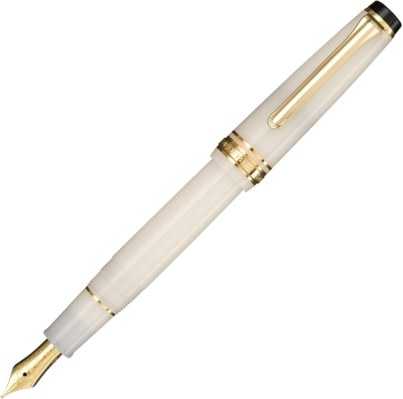 Fountain Pen, Medium Fine Point,